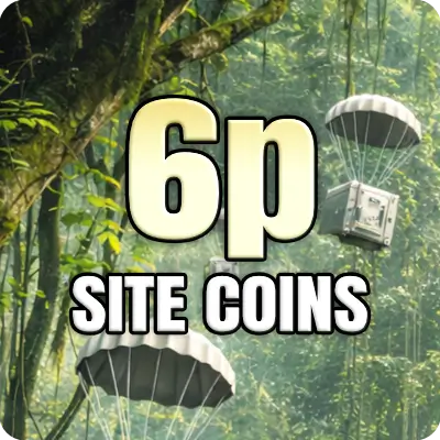 6p Site Coins