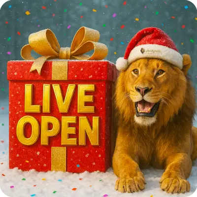 Present🎁