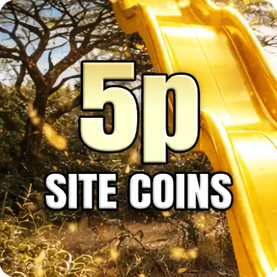 5p Site Coins
