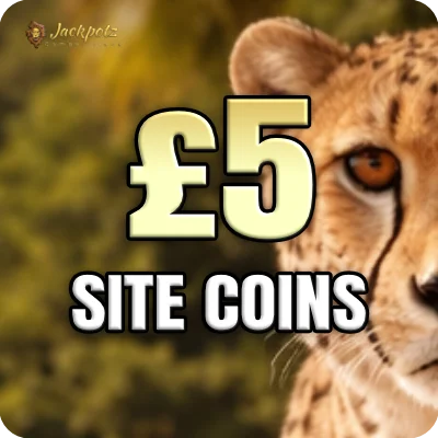 £5 Site Coins