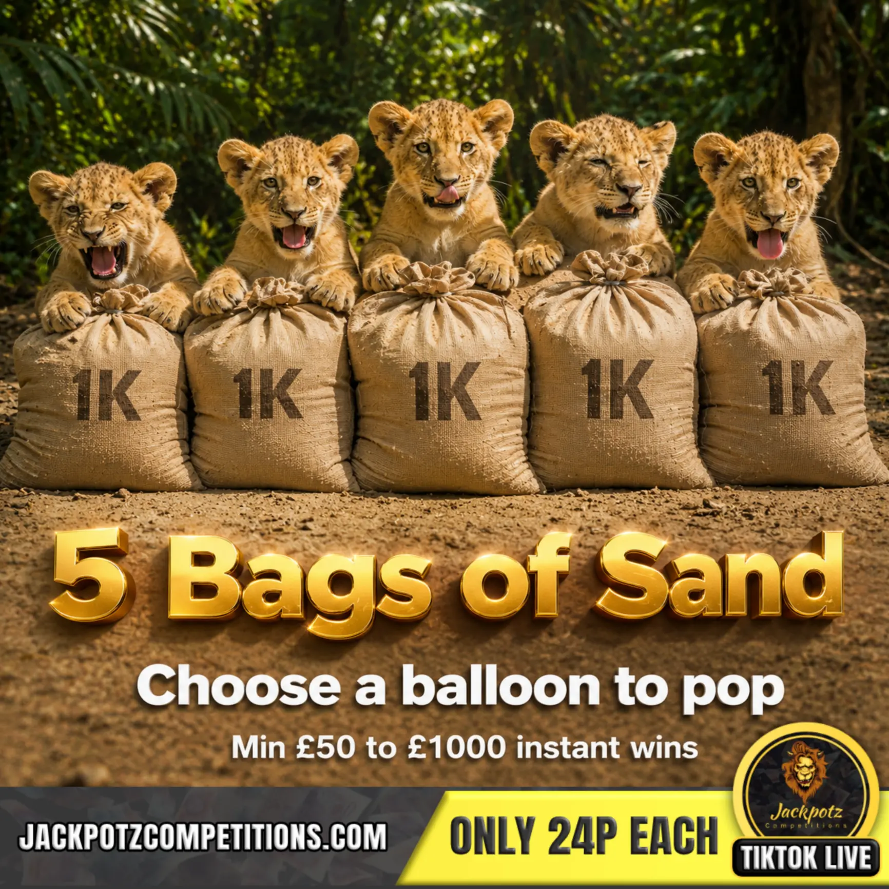 5 Bags of Sand