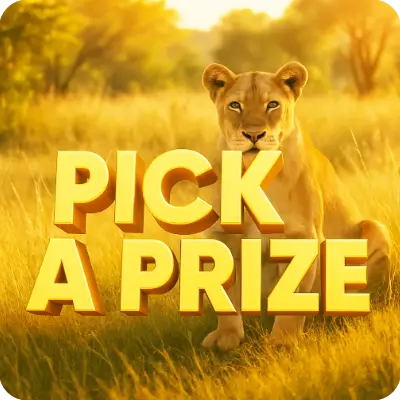 PICK A PRIZE🎁