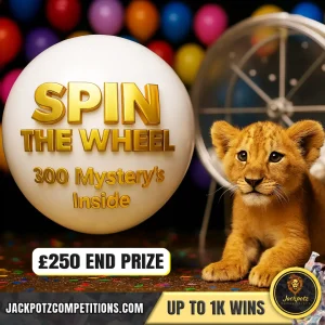 SPIN THE WHEEL Tiktok Competitions