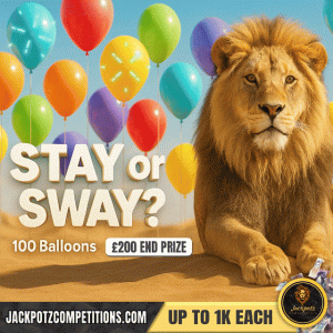 STAY OR SWAY Tik Tok Raffle