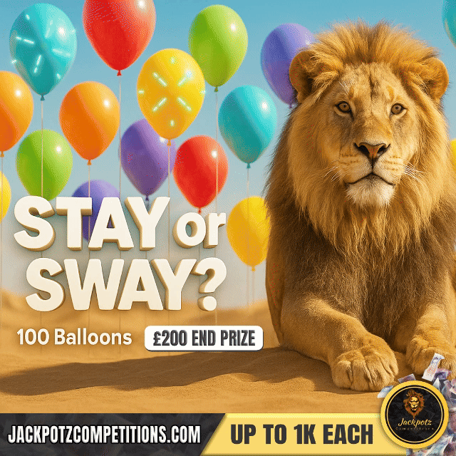 STAY OR SWAY Tik Tok Raffle