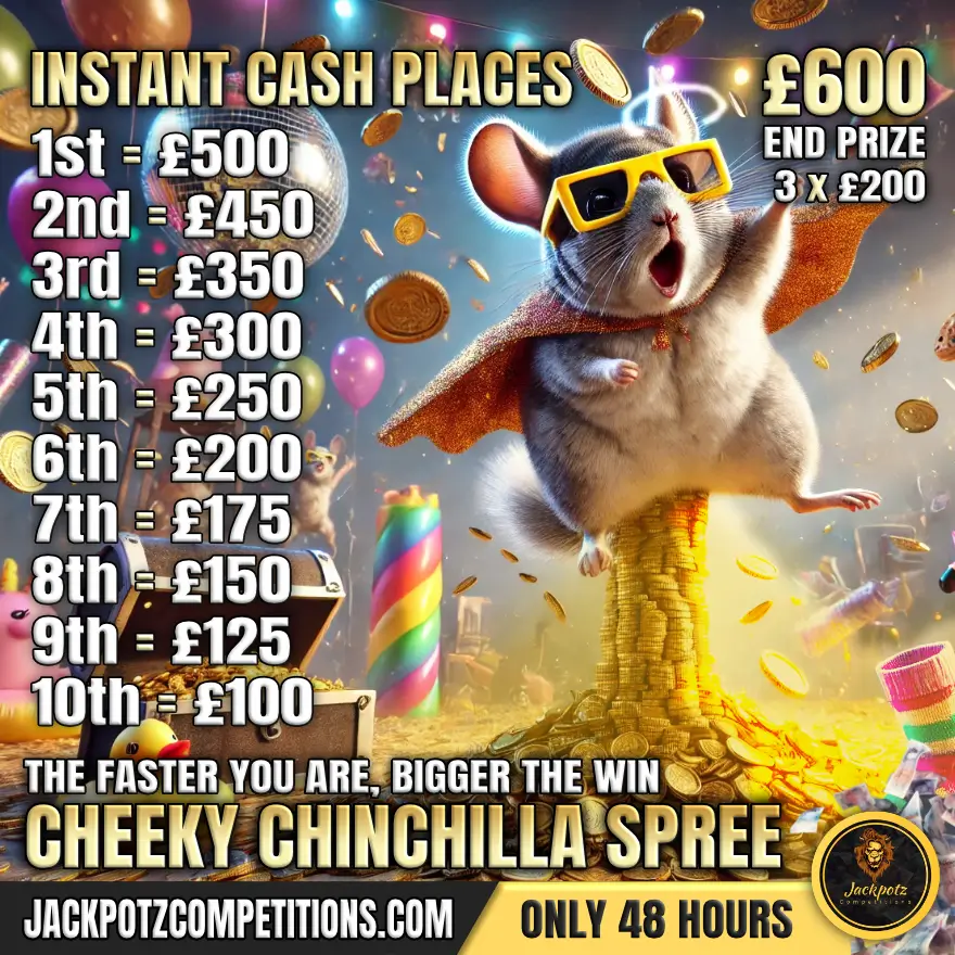 The cheeky chinchilla