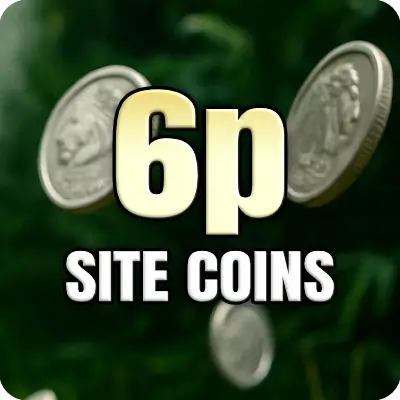 6p Site Coins